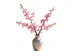 简约风格樱花花瓶