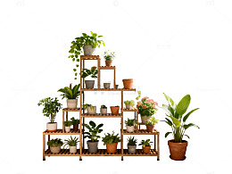 阳光房绿植盆栽装饰设计