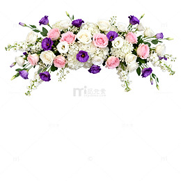 鲜花装饰花卉边框设计元素