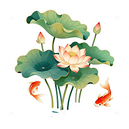 中式荷花锦鲤插画
