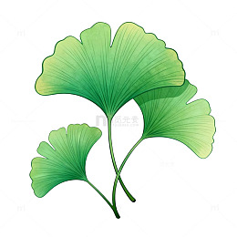 银杏叶卡通风格插画素材