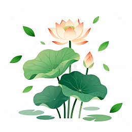 简约荷花矢量插画设计素材