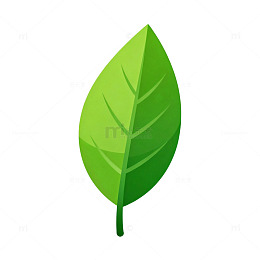 绿色叶子矢量图案设计素材