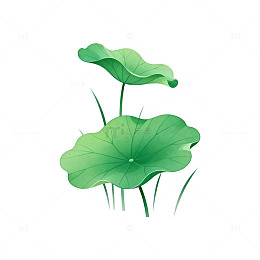 荷叶插画矢量素材