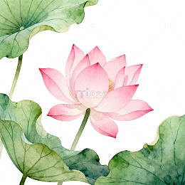 水彩荷花装饰画素材