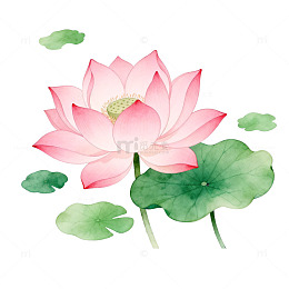 水彩荷花淡雅插画素材