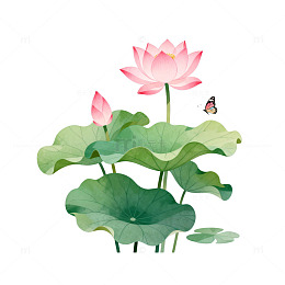 水墨风荷花蝴蝶插画设计素材