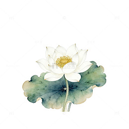 水墨荷花手绘插画素材