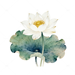 水墨荷花装饰画元素