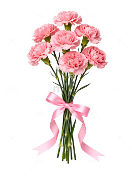 粉色康乃馨花束素材