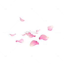 粉色花瓣飘落浪漫意境图