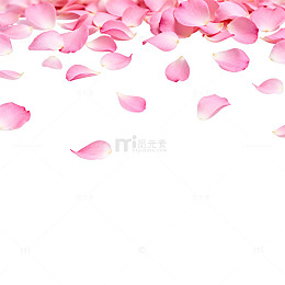 粉色花瓣浪漫背景设计素材