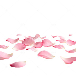 浪漫粉色玫瑰花瓣背景图