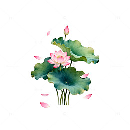 水墨荷花淡雅意境插画素材