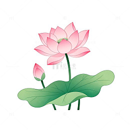 淡雅荷花插画设计素材