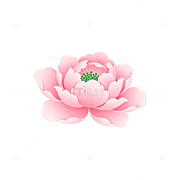 粉色荷花卡通插画