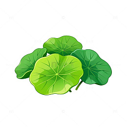 卡通绿色荷叶插画素材