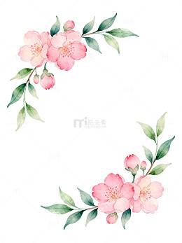 水彩花卉装饰图案设计元素