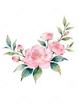 水彩花卉装饰图案插画