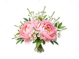 精致花卉装饰设计素材