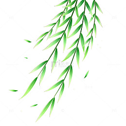 柳叶飘落插画设计素材