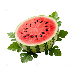 西瓜特写水果插画素材