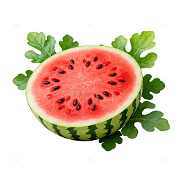 西瓜插画素材