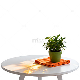 简约窗边绿植盆栽场景