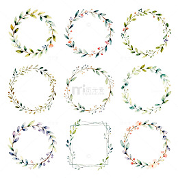 花卉装饰圆框插画素材