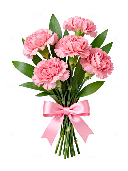粉色康乃馨花束鲜花装饰