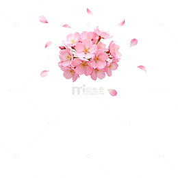 樱花飘落浪漫春天背景