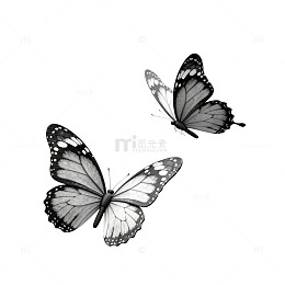 黑白蝴蝶飞舞艺术图片