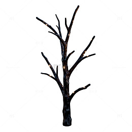 枯树枝剪影透明背景图
