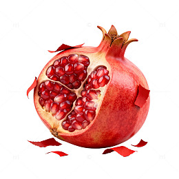 石榴特写透明背景素材