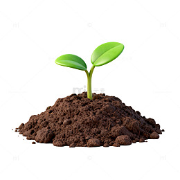 清新植物生长土壤