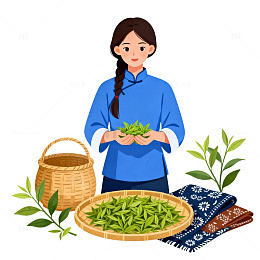 传统中国风茶叶采摘插画