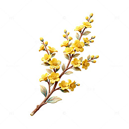 手绘黄色迎春花插画素材