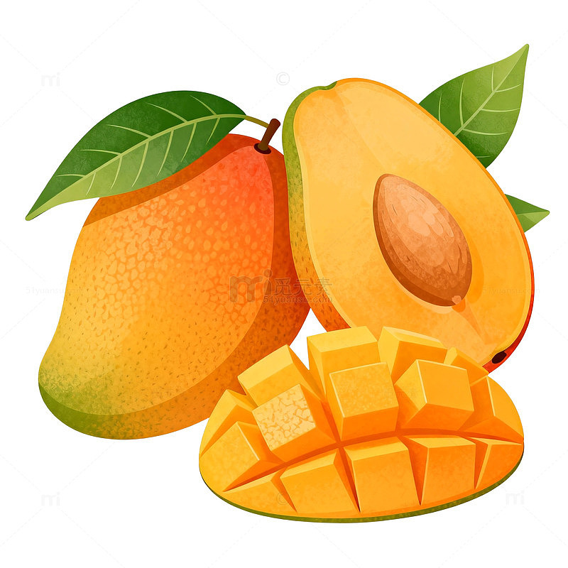 手绘风格芒果插画设计素材