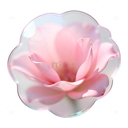 梦幻玫瑰花图标设计素材