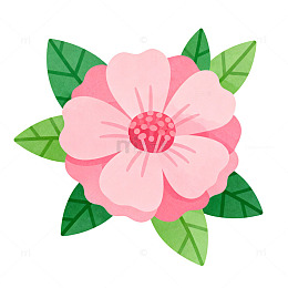 插画风格粉色花朵设计元素