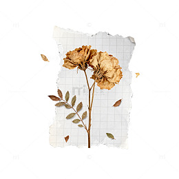 复古风干花撕纸艺术