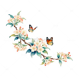 古风花卉蝴蝶插画