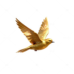 金光飞鸟天空片