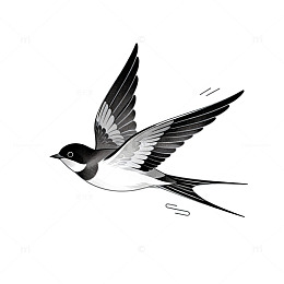 黑白插画燕子飞翔