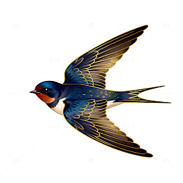 飞翔燕子插画艺术素材