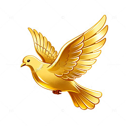金色鸽子插画
