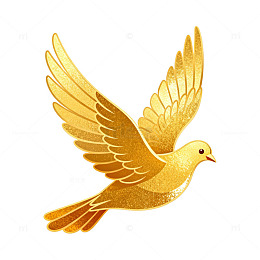 金色鸽子艺术插画
