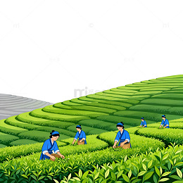 茶园劳作插画