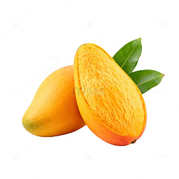 新鲜芒果特写片