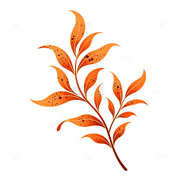 秋天橙红色树枝装饰图案